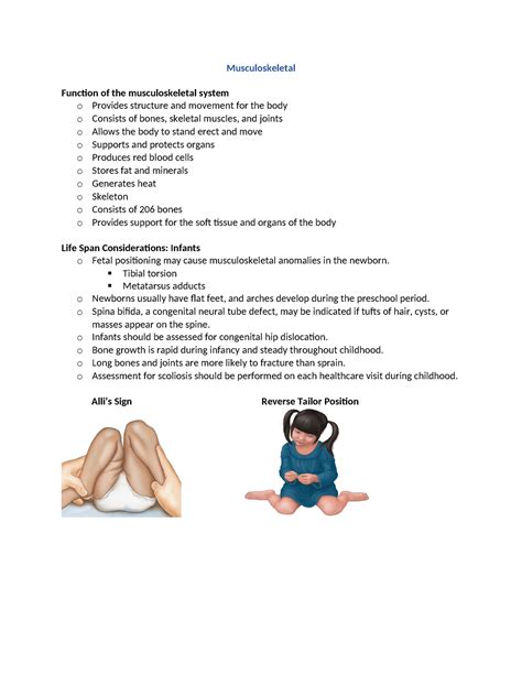 Musculoskeletal Ppt Notes Musculoskeletal Function Of The