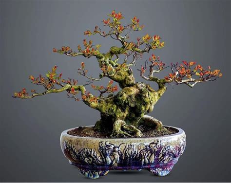 Ghim của Art is Moonwalker trên bonsai trong 2024 Cây kiểng bonsai