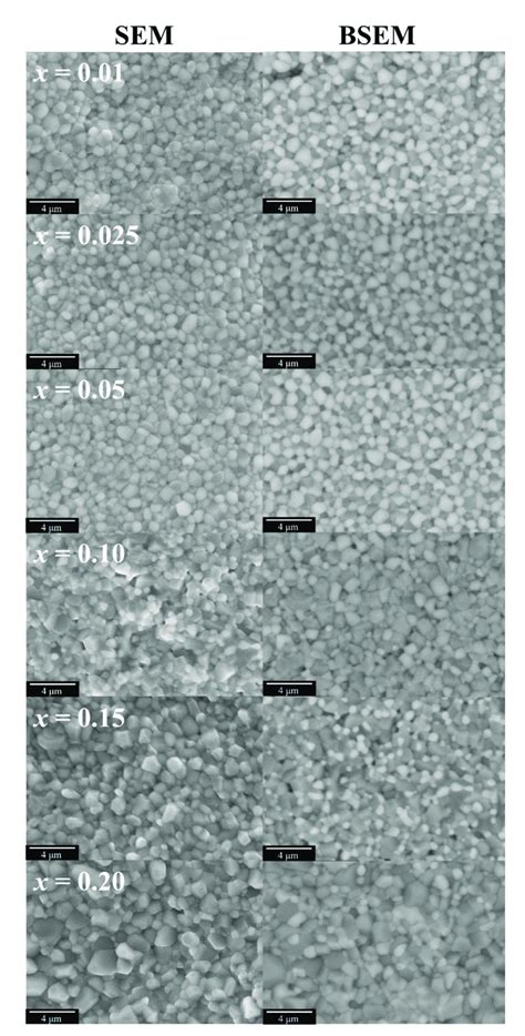 Surface Topographies Of 60cpo 40psf 1−x B X O Membranes Observed By Sem