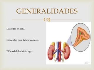 Enfermedades de glandulas suprarrenales | PPT