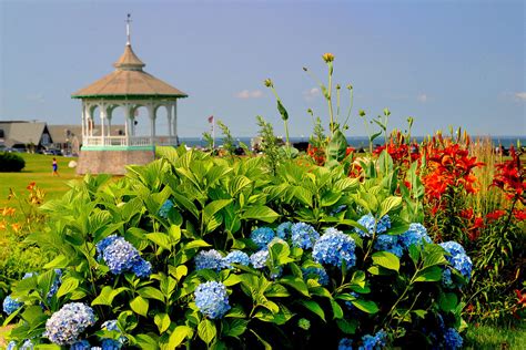 Summer In Ocean Park Massachusetts Office Of Travel And Tourism Flickr