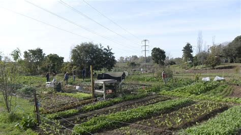 Comienza La Semana De La Agricultura Urbana