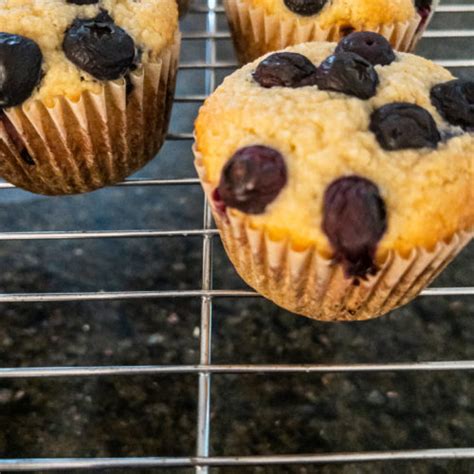 Blueberry Oat Bran Muffins Elegant Entertaining