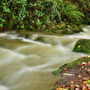 Twisel Burn Autumnal Waters In Color Photograph By Neil R Finlay Fine