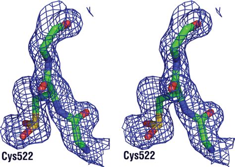 Figure 1 From Structural Biology And Crystallization Communications