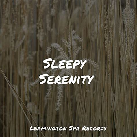 Reproducir Sleepy Serenity De The Sleep Helpers Deep Horizon Waves