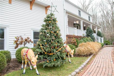 How To Decorate Your Trees Outside For Christmas | Shelly Lighting