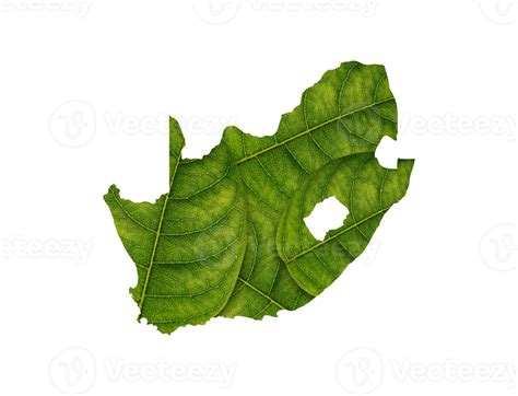 South Africa Map Made Of Green Leaves Ecology Concept Png