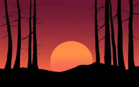 Premium Vector | Silhouette of trees and sunset landscape