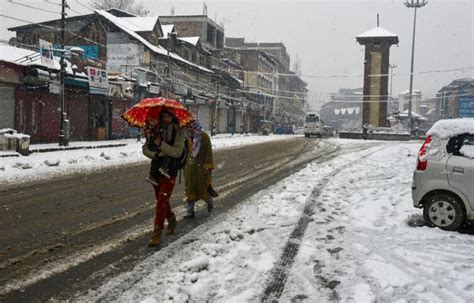 Winter Wonderland Fresh Snowfall In Kashmir Valley See Pictures