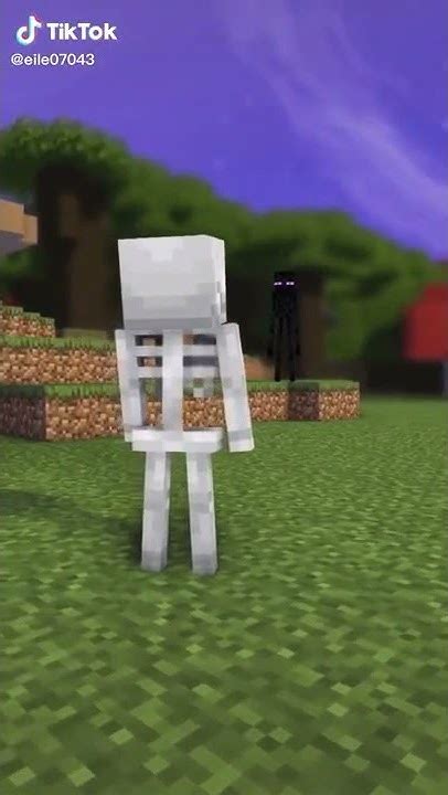 Tik Tok Skelton Vs Enderman Youtube