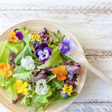 Did You Know You Can Grow These Edible Flowers In Your Garden Edible