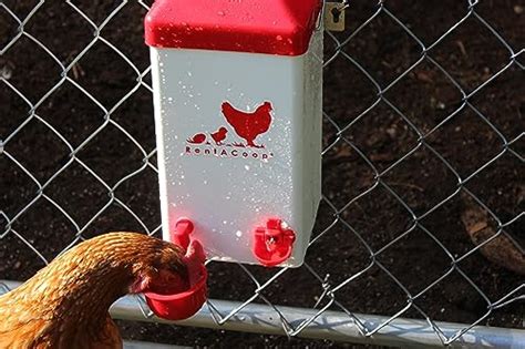 Rentacoop 1 Gallon Chicken Waterer With Auto Fill Cups