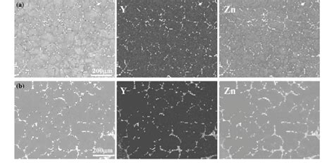 Eds Mapping 100 Times Of The As Cast Mg Zn Y Zr Alloys With Zn Y