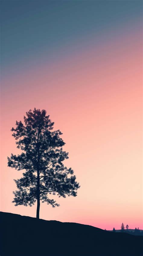 sunset silhouette photography, tree silhouette against sunset, colorful dusk sky, serene nature ...