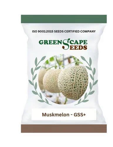 Gss Muskmelon Seed Packaging Type Packet Packaging Size 1 Kg At