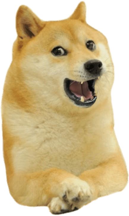 Doge laughing Blank Template - Imgflip