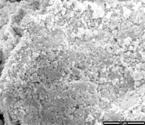 Sem Micrograph Of Tio2 P25 Degussa Download Scientific Diagram