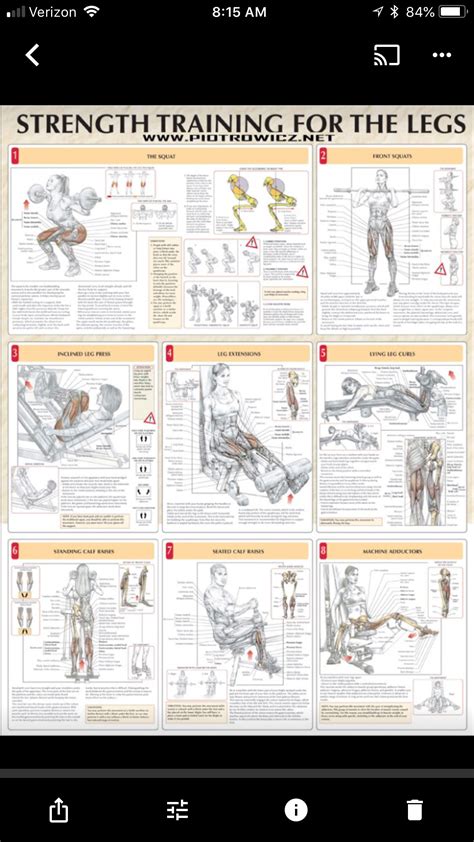 seated leg press weight chart - Keski