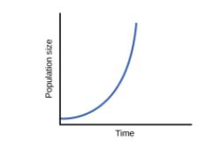 Compare Giving Reasons The J Shaped And S Shaped Models Of Population