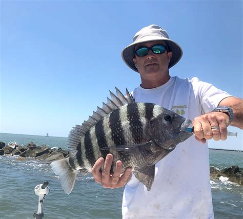 Rock Jetties Become Fish Magnets As Summer Arrives Carolina Sportsman