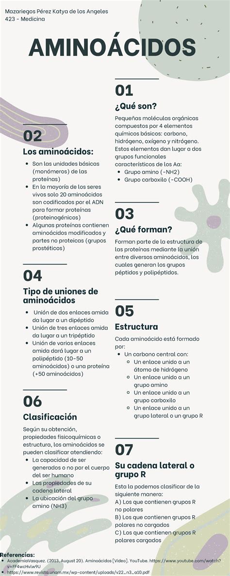 Aminoácidos Infografía sobre la clasificación y función de los