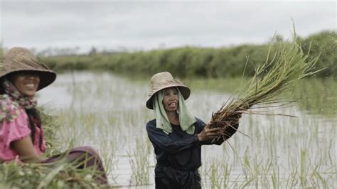 Alokasi Pupuk Subsidi Ditambah Jadi 9 5 Juta Ton Petani Tak Perlu