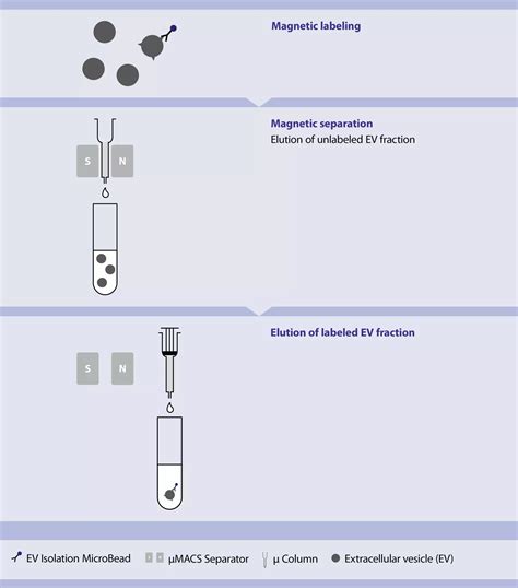 Ev Isolation Kit Pan Human Miltenyi Biotec Usa