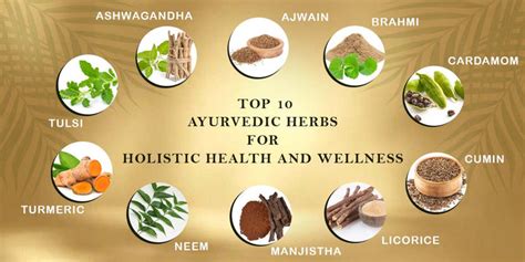 Top 10 Ayurvedic Herbs For Holistic Health And Wellness Ayur Sesha