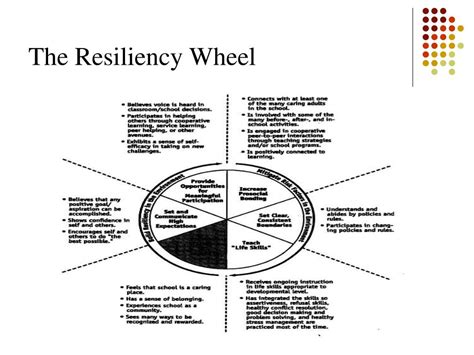 Ppt Resiliency Guaranteeing The Success Of African American And Hispanic Males In Academic