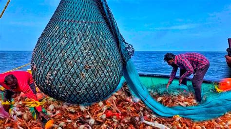 OMG Record Fishing CRAB FEAST 5 Tons Of Crabs Caught In One Epic