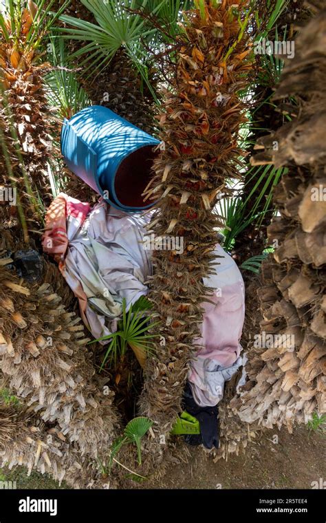 Homelessness Valencia Spain Stock Photo Alamy