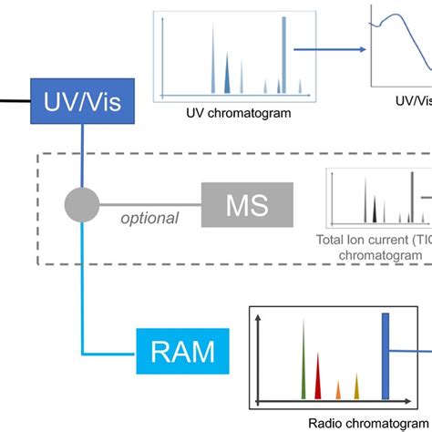 Schematic Setup For Online HPLCUV And RAM With Optional Online MS