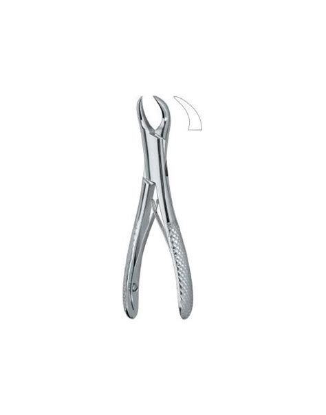 Dental Extracting Forceps Molars English Pattern Fig Sk Slick Surgico