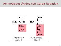 PDF Estructura propiedades y funciones biológicas de los usuaris