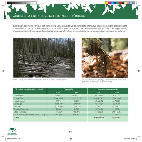 Aprovechamientos Forestales En Montes P Blicos