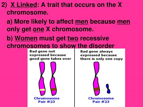 PPT Genetic Disorders Autosomal Sex Linked Traits PowerPoint Presentation ID