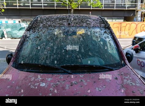 Car, pigeon droppings, Buelowstrasse, Schoeneberg, Berlin, Germany ...