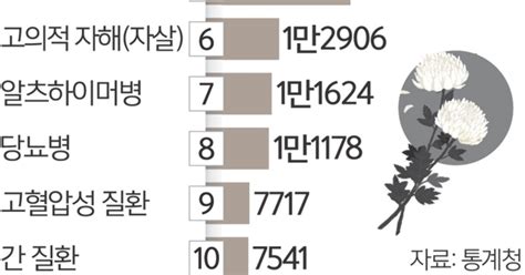 코로나 여파 2022년 사망 37만명 ‘역대 최대