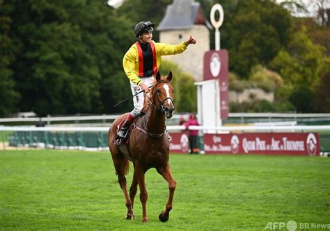 凱旋門賞の枠順決定 前年優勝馬18番 ステイフーリッシュは大外 写真1枚 国際ニュース：afpbb News