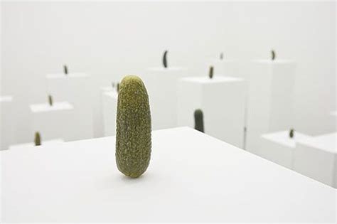 Erwin Wurm Selbstporträt Als Essiggurkerl Self Portrait As A Pickle