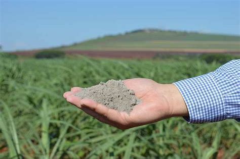 Para Que Serve o Calcário na Terra e na Agricultura Mundo Ecologia