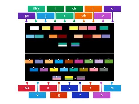 Les Sons Consonnes Diagrama Con Etiquetas