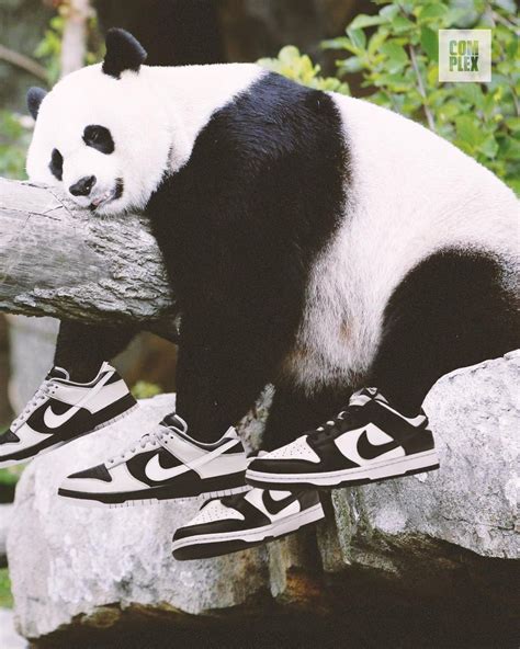 The Infamous Nike Panda Dunks Their Popularity And Anticipated