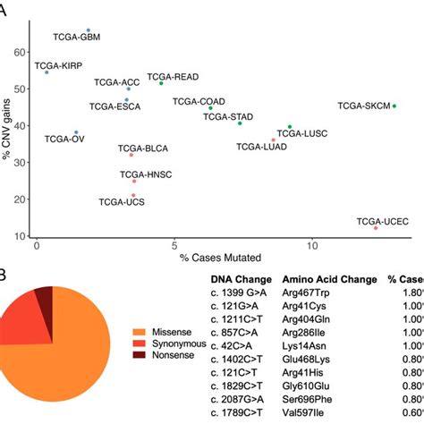 Prevalence Of ABCB1 Mutations And Copy Number Changes Derived From The