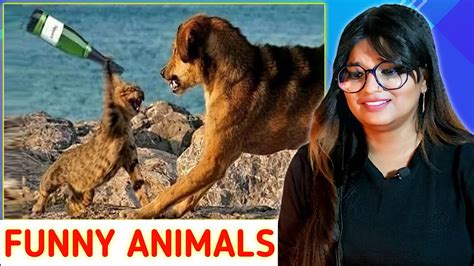 इन जानवरों के कारनामे देखकर आपके भी तोते उड़ जायेंगे Funny Animal