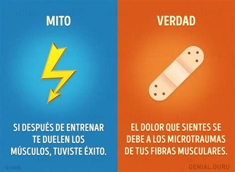 10 Mitos Sobre Fitness Que Nada Tienen Que Ver Con La Realidad Mitos