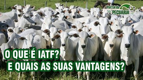 O Que Iatf E Quais As Suas Vantagens Youtube