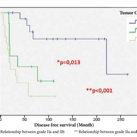 Kaplan Meier Disease Free Survival Analysis In Different Tumor Grades