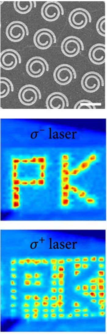 Polarization Dependent Optical Properties And Optoelectronic Devices Of